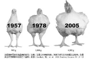 20181103135546 BG大游集团(中国)唯一官方网站