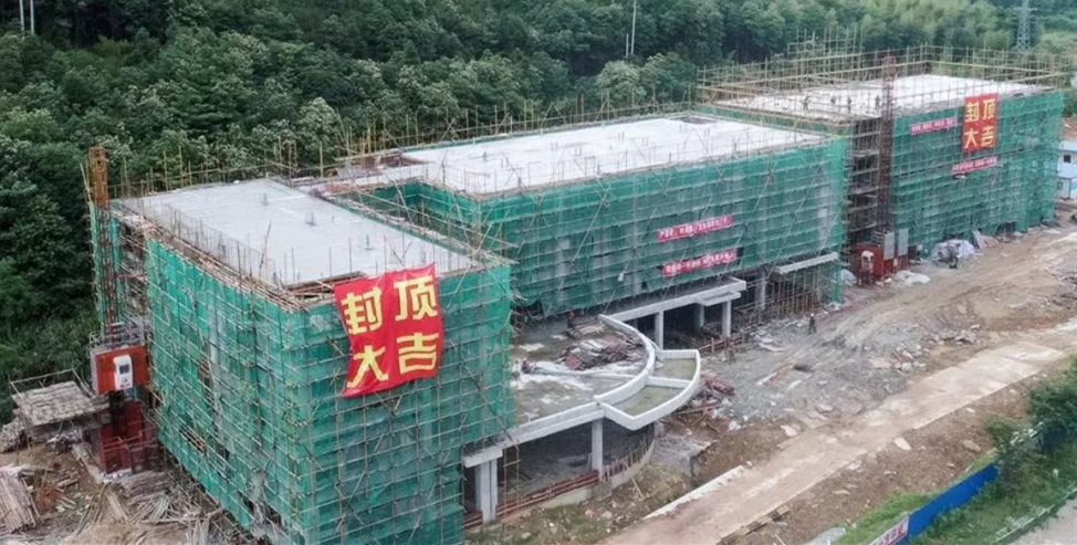 BG大游集团(中国)唯一官方网站
