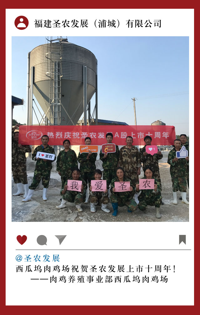 BG大游集团(中国)唯一官方网站