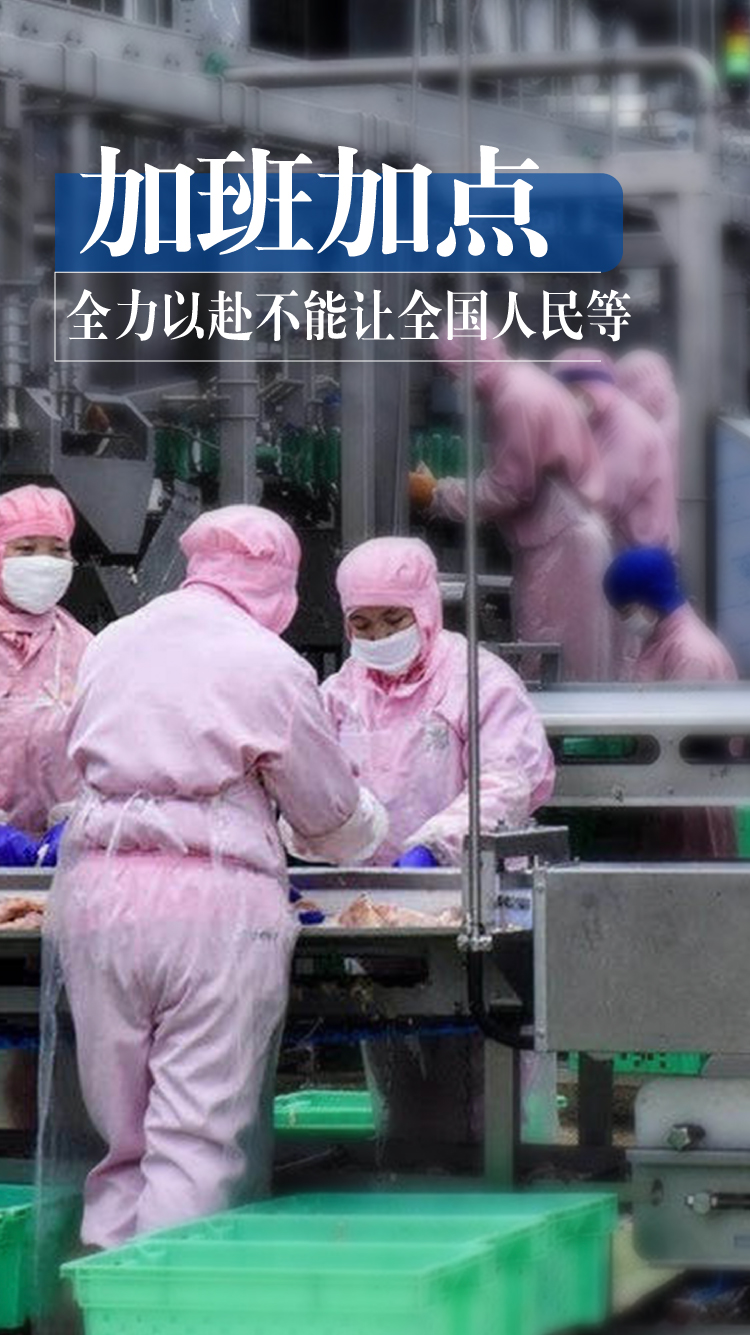 BG大游集团(中国)唯一官方网站
