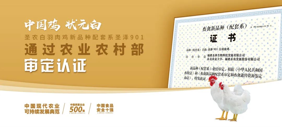 BG大游集团(中国)唯一官方网站