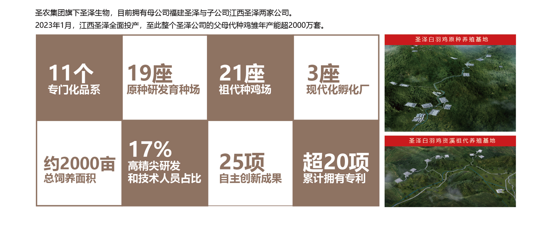 BG大游集团(中国)唯一官方网站